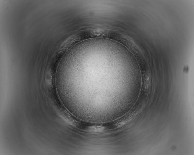 X0000100360266200806131021