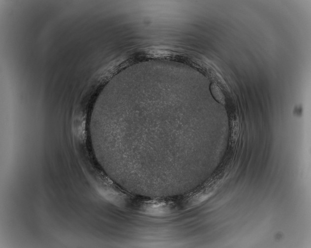 X0000100360267200806131021