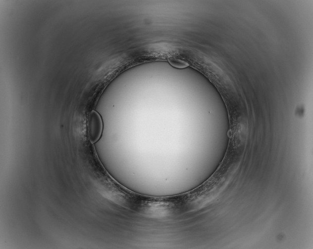 X0000100360268200806131021