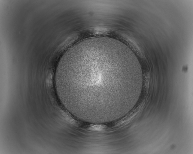 X0000100360269200806131021