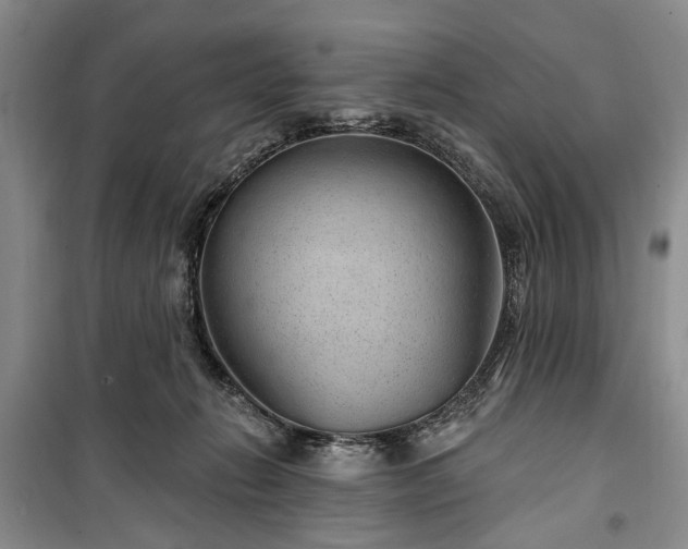 X0000100360270200806131021