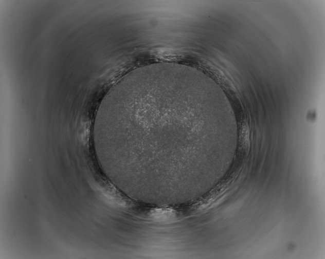 X0000100360271200806131021