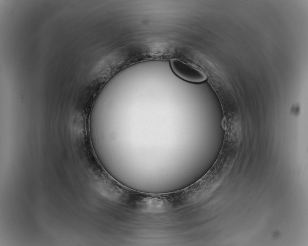 X0000100360272200806131021