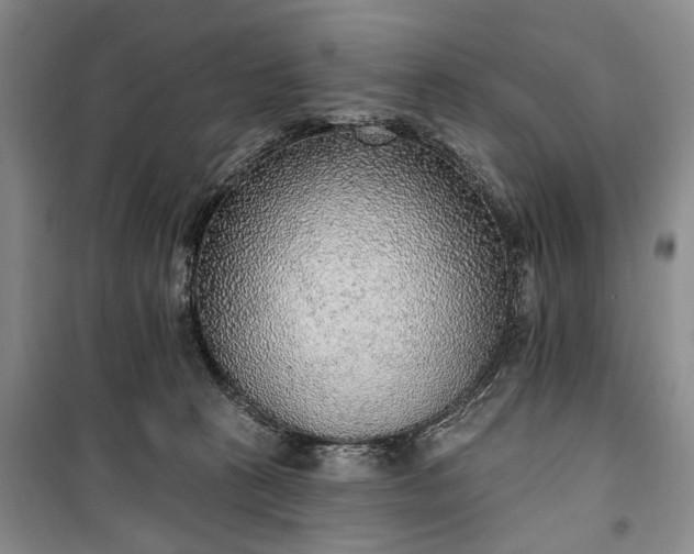 X0000100360273200806131022