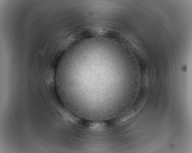 X0000100360274200806131022