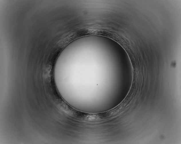 X0000100360275200806131022