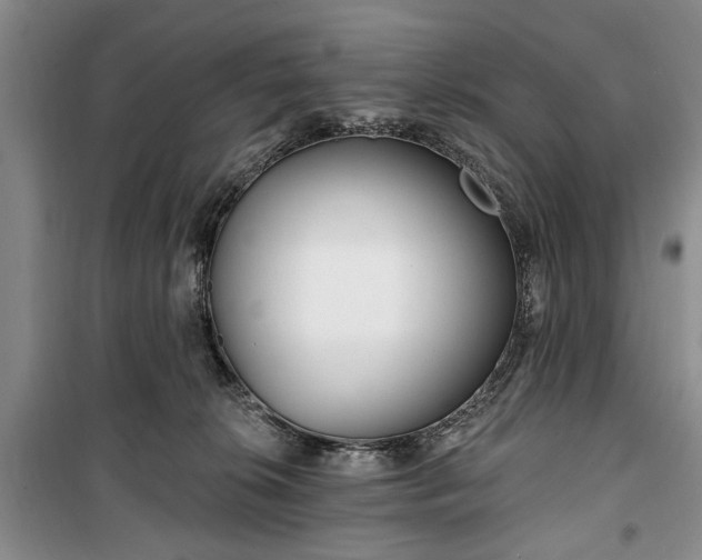 X0000100360276200806131022