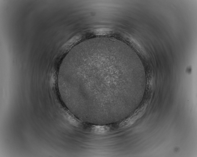 X0000100360277200806131022