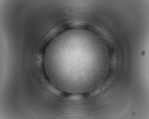 X0000100360278200806131022