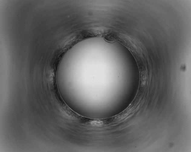 X0000100360279200806131022