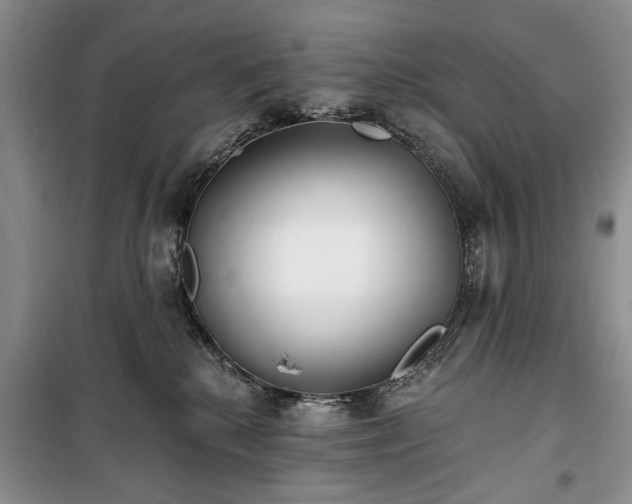 X0000100360280200806131022