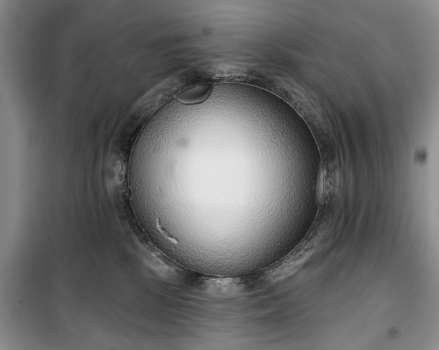 X0000100360281200806131022