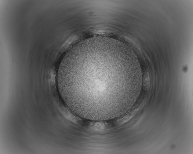 X0000100360282200806131022