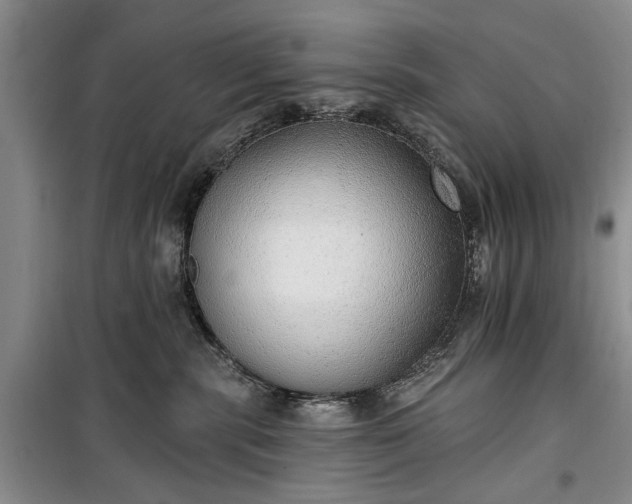 X0000100360283200806131022