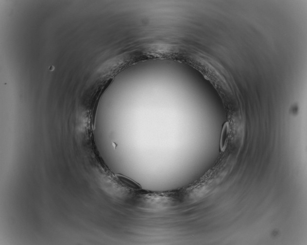 X0000100360284200806131022