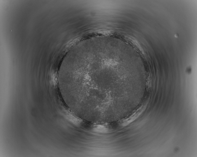 X0000100360285200806131022