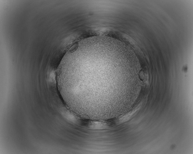 X0000100360286200806131022