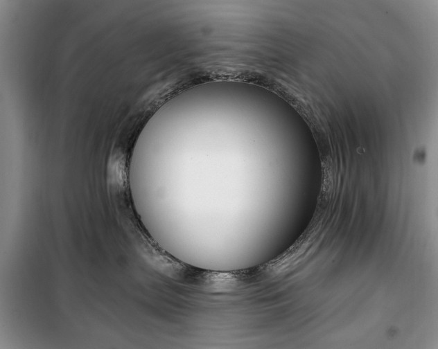 X0000100360287200806131022