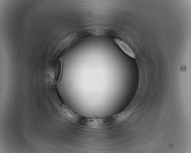 X0000100360288200806131022