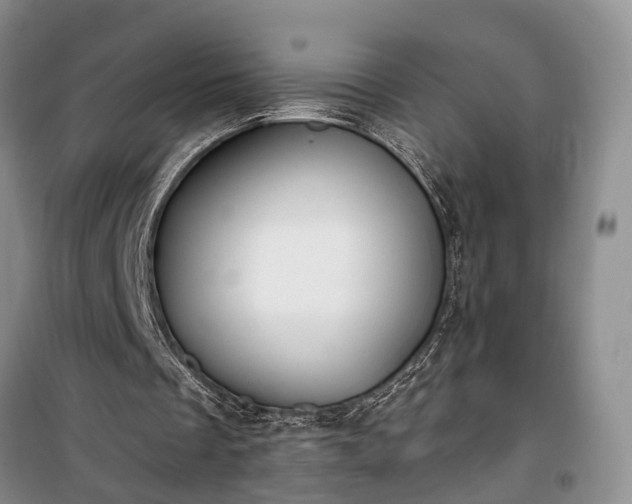 X0000100360289200806131021