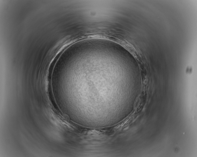 X0000100360290200806131021