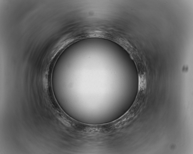 X0000100360291200806131021