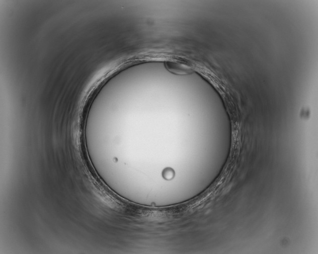 X0000100360293200806131021