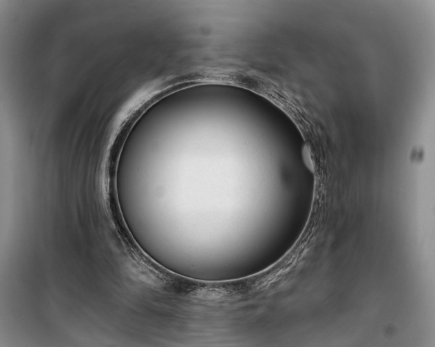 X0000100360294200806131021