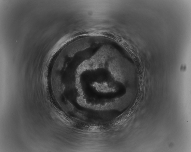 X0000100360295200806131021