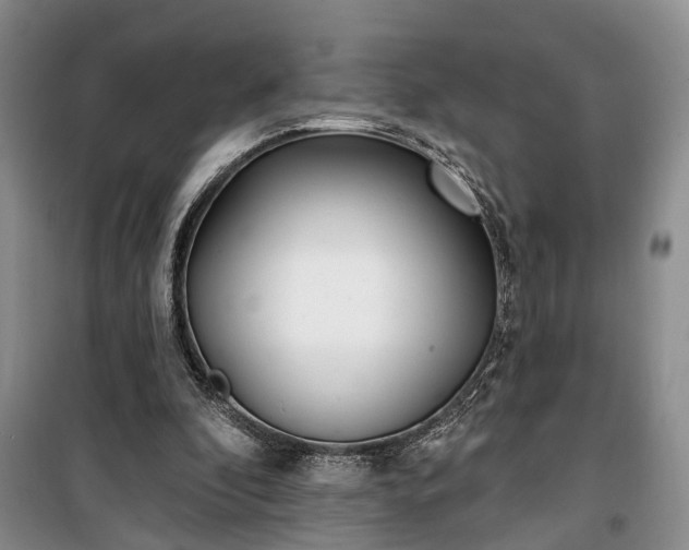 X0000100360296200806131021