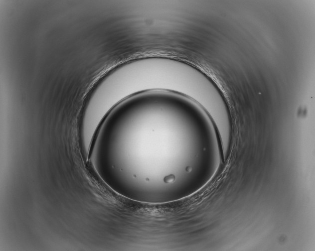 X0000100360297200806131021