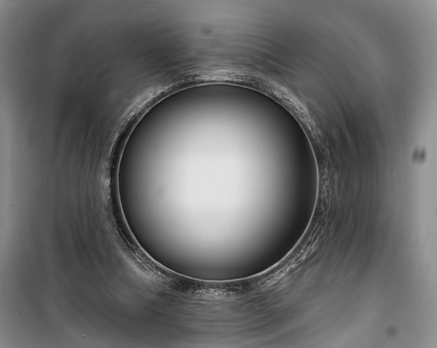 X0000100360298200806131021