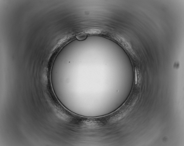 X0000100360300200806131021