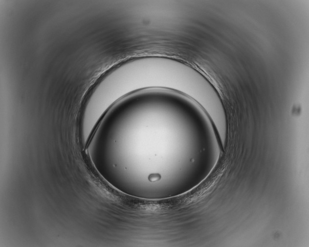 X0000100360301200806131021