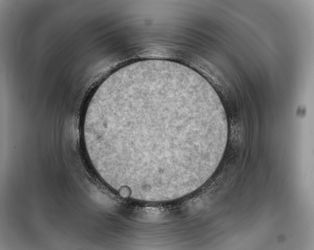 X0000100360302200806131021