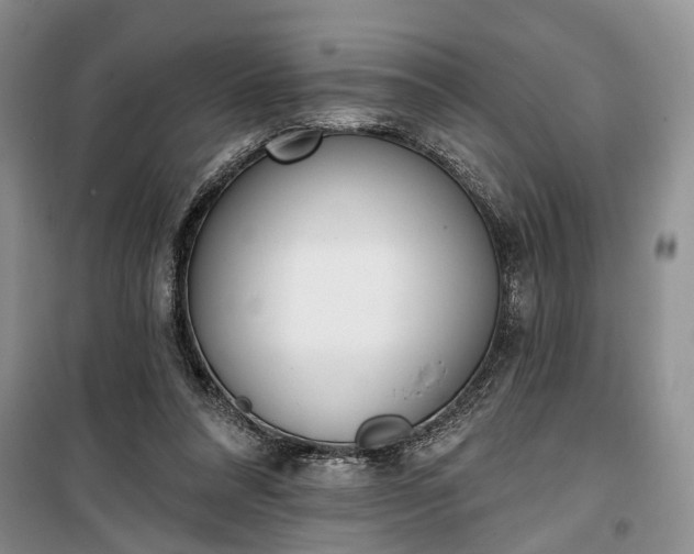 X0000100360304200806131021