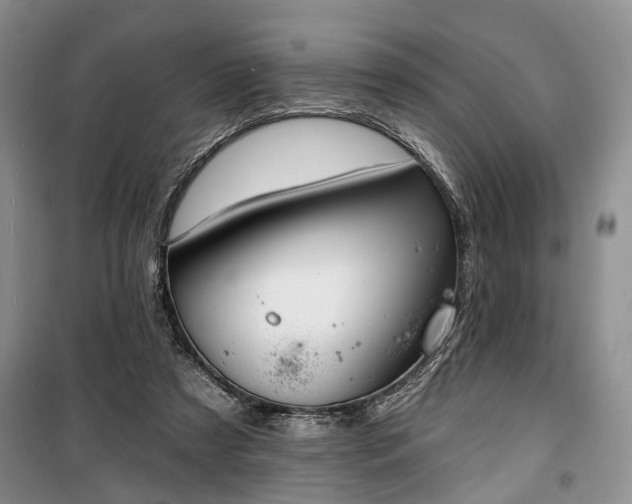 X0000100360305200806131021