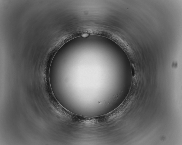 X0000100360306200806131021