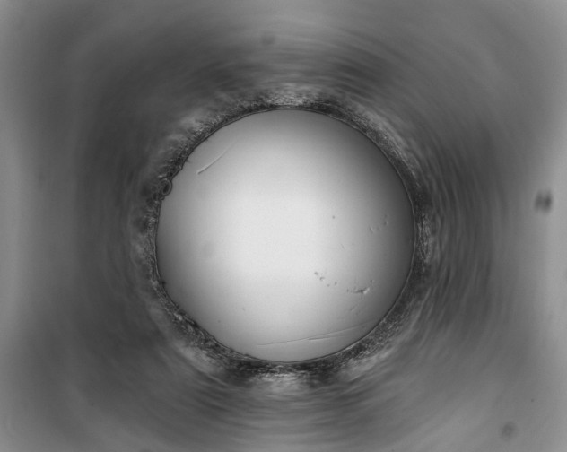 X0000100360307200806131021