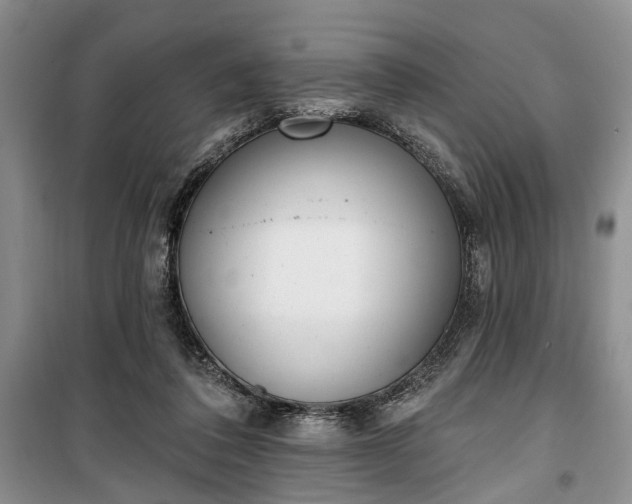 X0000100360308200806131021