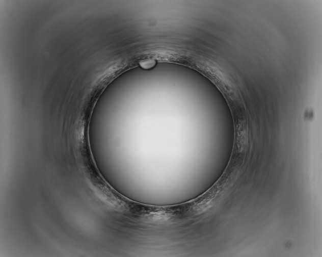 X0000100360310200806131021