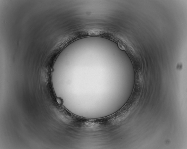 X0000100360311200806131021