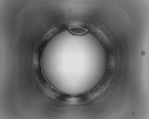 X0000100360312200806131021