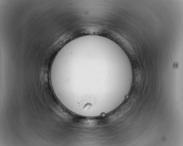 X0000100360313200806131021