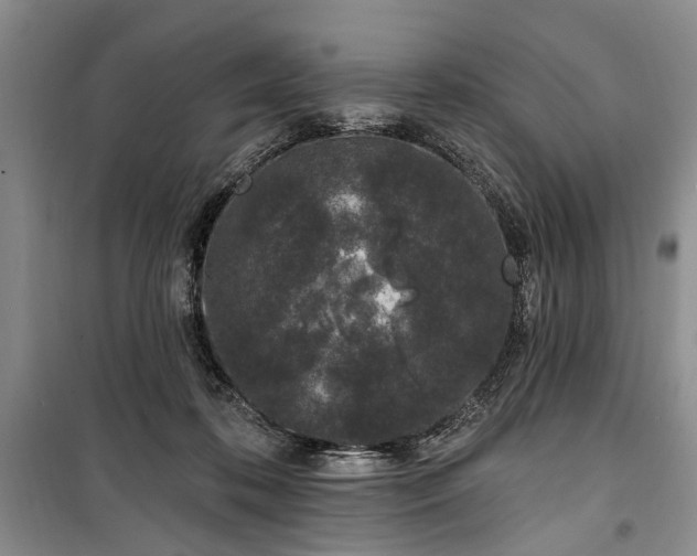 X0000100360316200806131021