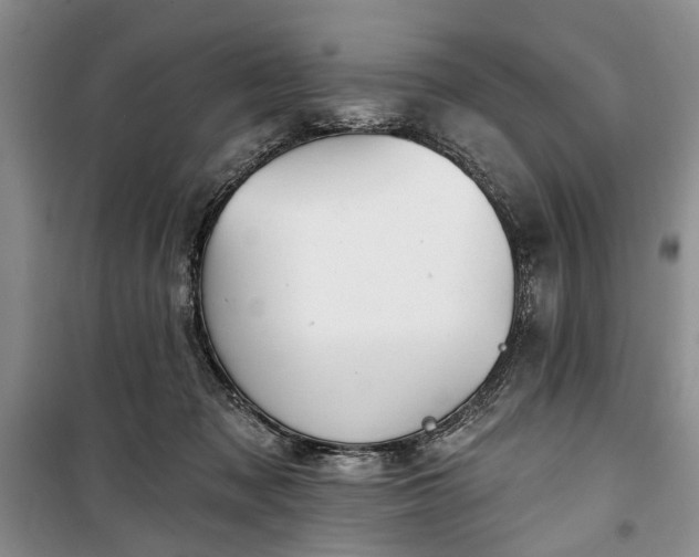 X0000100360317200806131021