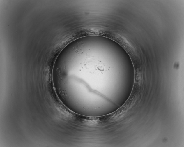 X0000100360318200806131021