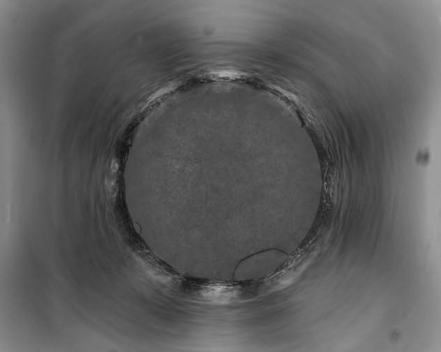 X0000100360319200806131021