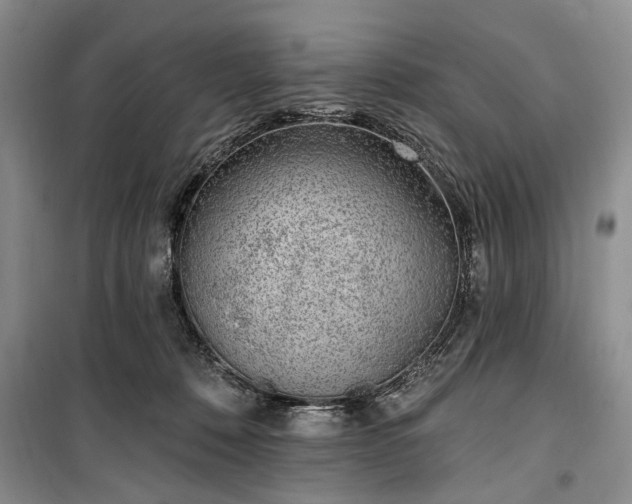 X0000100360320200806131021