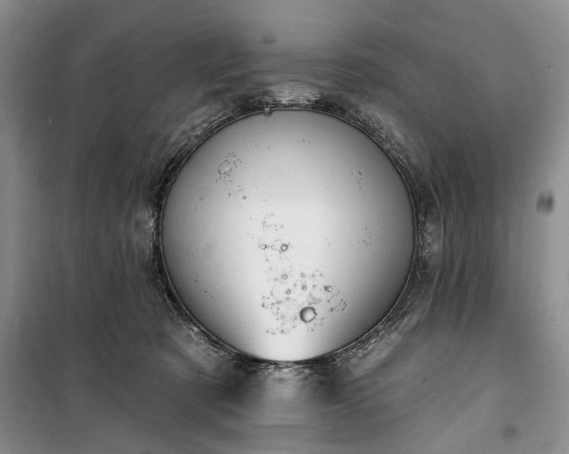 X0000100360321200806131021